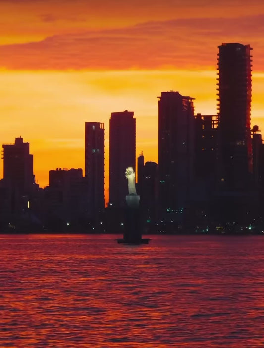 Passport bros trip Cartagena 4 day option